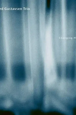 Super Sale Tord Gustavsen Trio - Changing Places (2 LPs)
