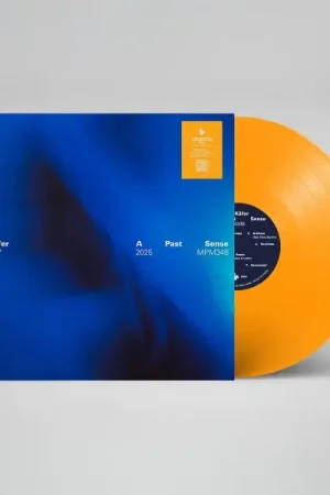 Worldwide Shipping Mr. Kafer - A Past Sense (LP)