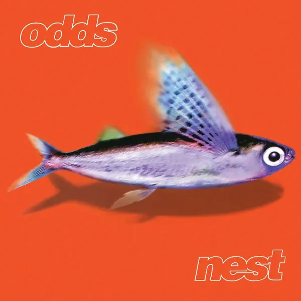 Odds - Nest (LP) Holiday Sale