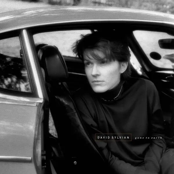 One Day Deal David Sylvian - Gone To Earth (2 LPs)