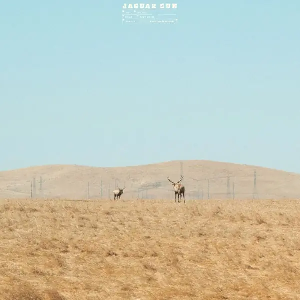 Jaguar Sun - For You (LP) Price Drop