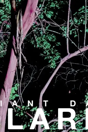Sale Giant Day - Alarm (LP)