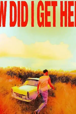 Louis Tomlinson - How Did I Get Here? (LP) Big Sale