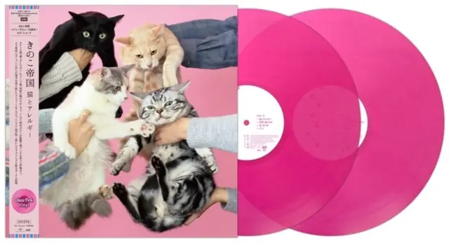 KINOKOTEIKOKU - NEKOTO ALLERGIE (2LP/CLEAR PINK VINYL/JAPANESE IMPORT) (Vinyl LP) Certified