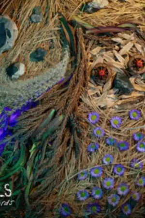 OWLS - RARE BIRDS (Vinyl LP) Direct From Factory